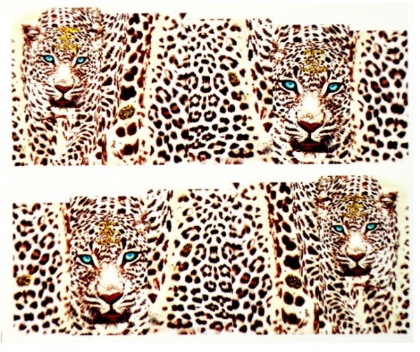 Farbige Leoparden Sticker #130